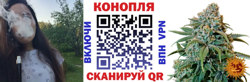 Бошки Шишки Ganja Гатчина